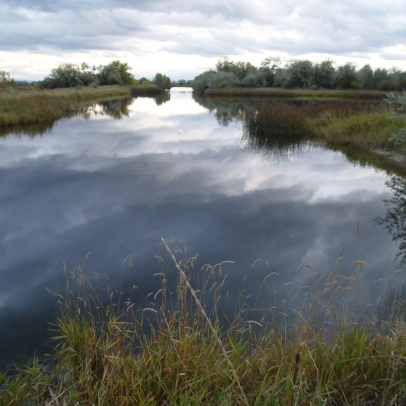 Reflections in the water