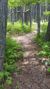 Hiking Around Flathead Lake