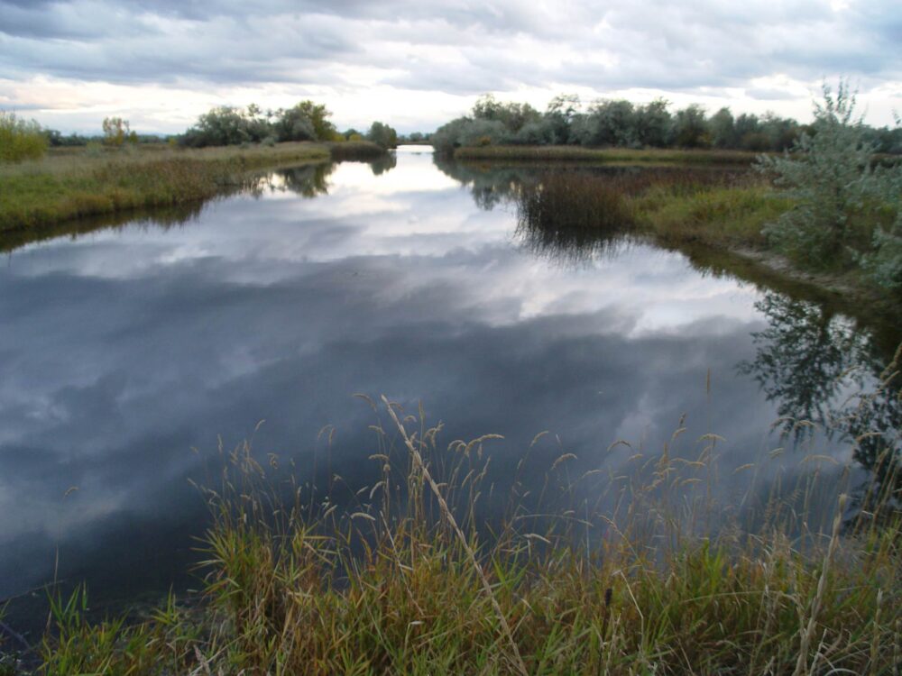 Pablo Wildlife Refuge